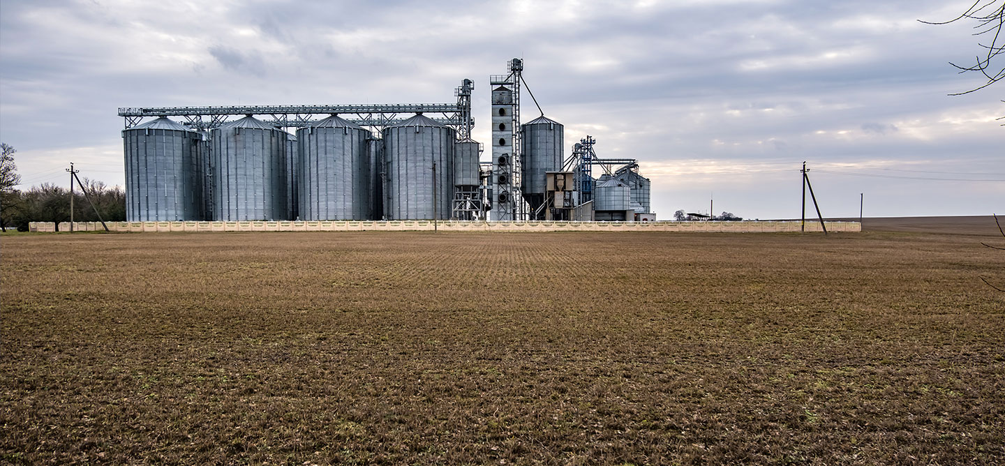 Agricultura y agroindustria
